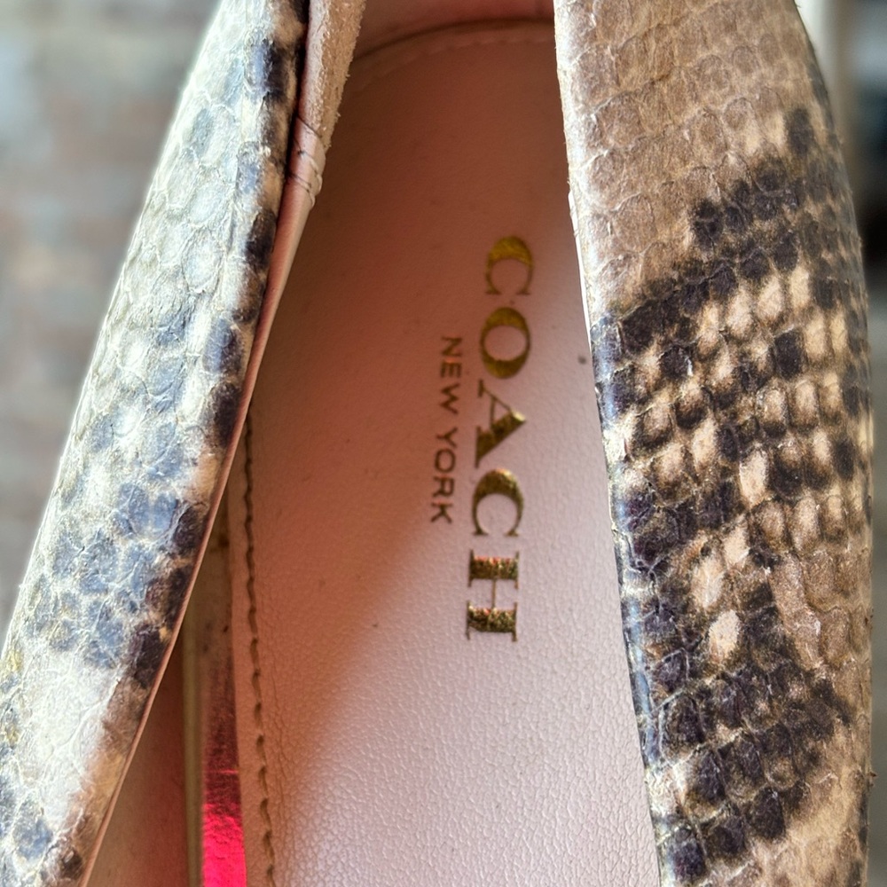 COACH Cream and Gray Snake Print Stacked Heels - Picture 6 of 12